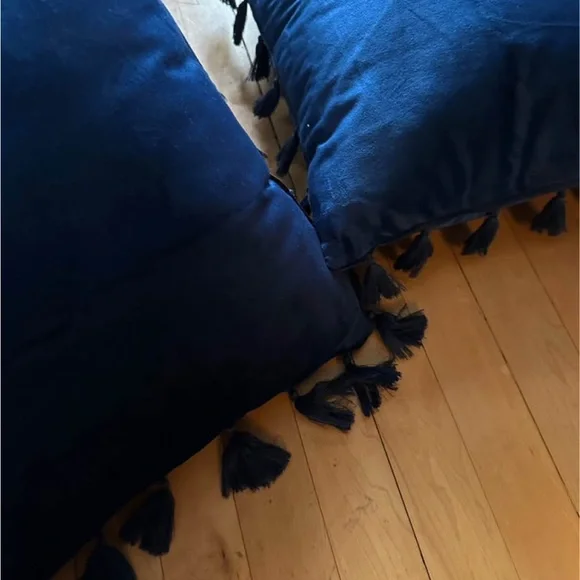 Elegant Blue Tassel Throw Pillow Set - Picture 3 of 3